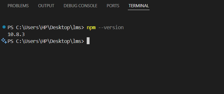 Checking the NPM Version